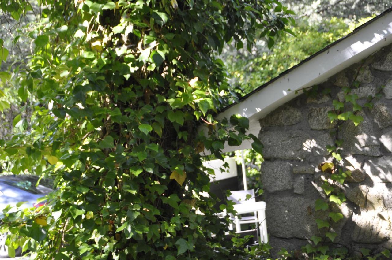 Vigo de Sanabria Espejo De Soledadesヴィラ エクステリア 写真
